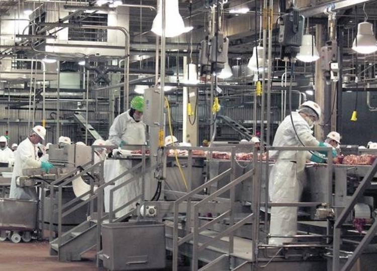Design and manufacturing of agricultural and food processing machinery